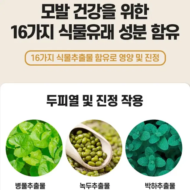 [300ml] 순한 맥주 효모 탈모 샴푸 / 약산성 임산부 손상모 케어