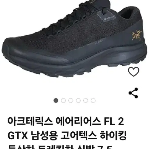 아크테릭스 fl 불랙 금장