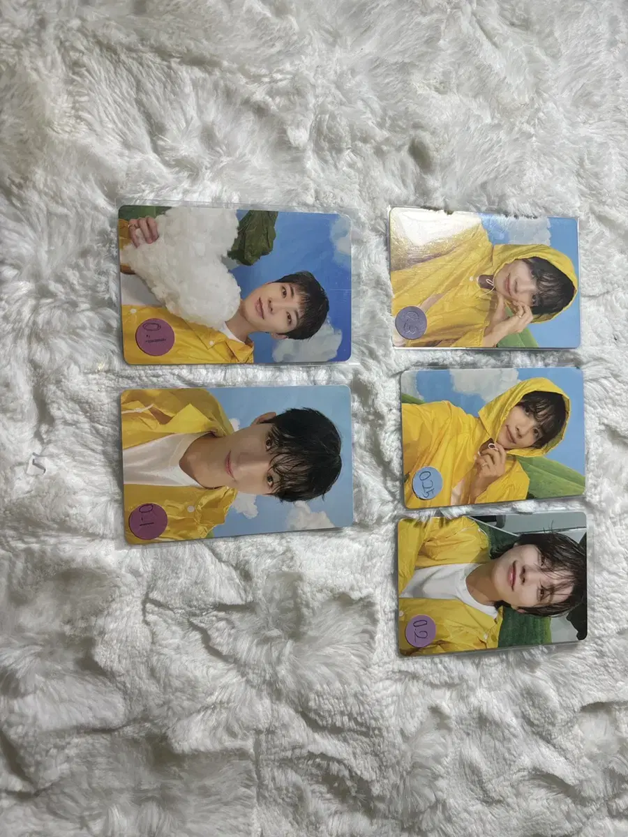 God of Music photocard bulk WTS