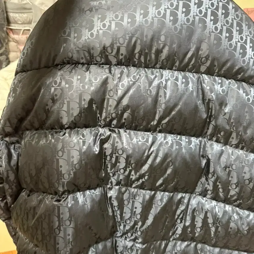 디올 오블리크 패딩 56 사진 2