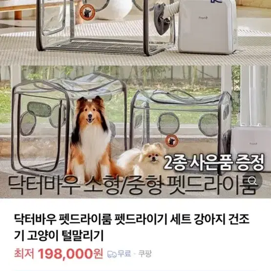 프롬비 펫드라이 건조기