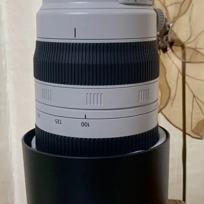 캐논 Canon EF100-400mm F4.5-5.6L 망원 렌즈