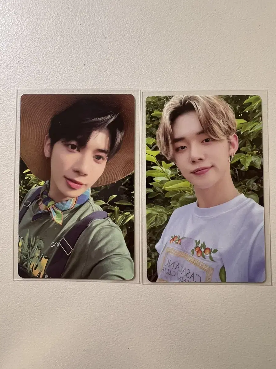 TXT Midsummer Tangerine Palm Photocard