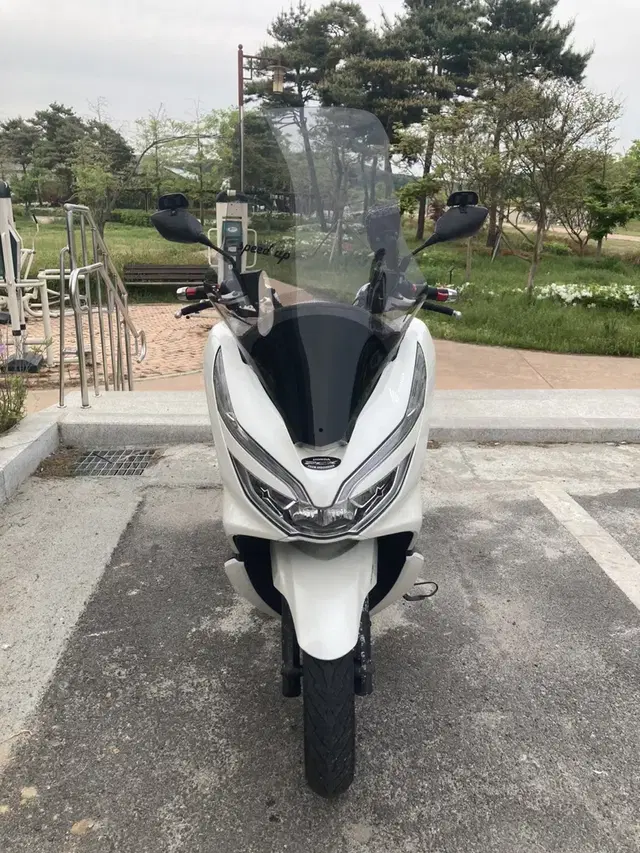 Pcx150 19년식 팝니다