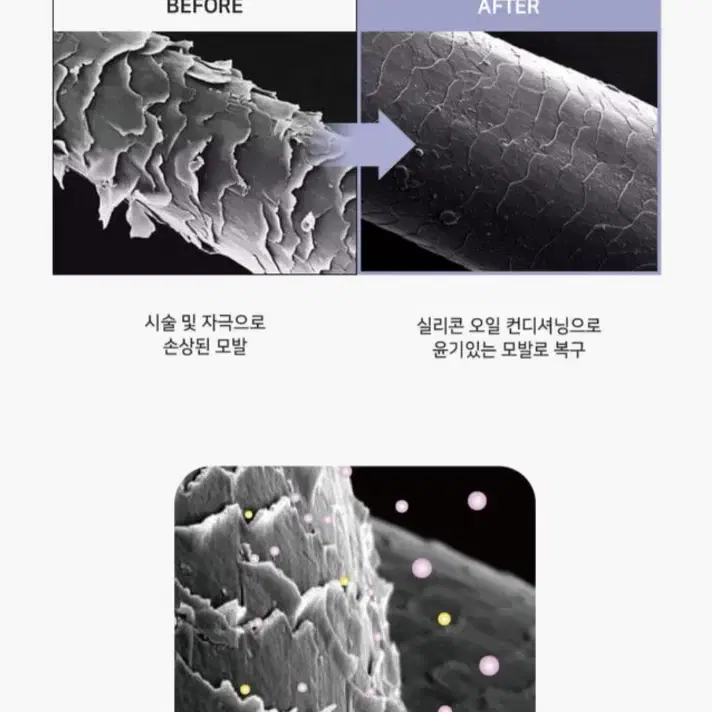 에르노브 펄 크리닉(1200g)