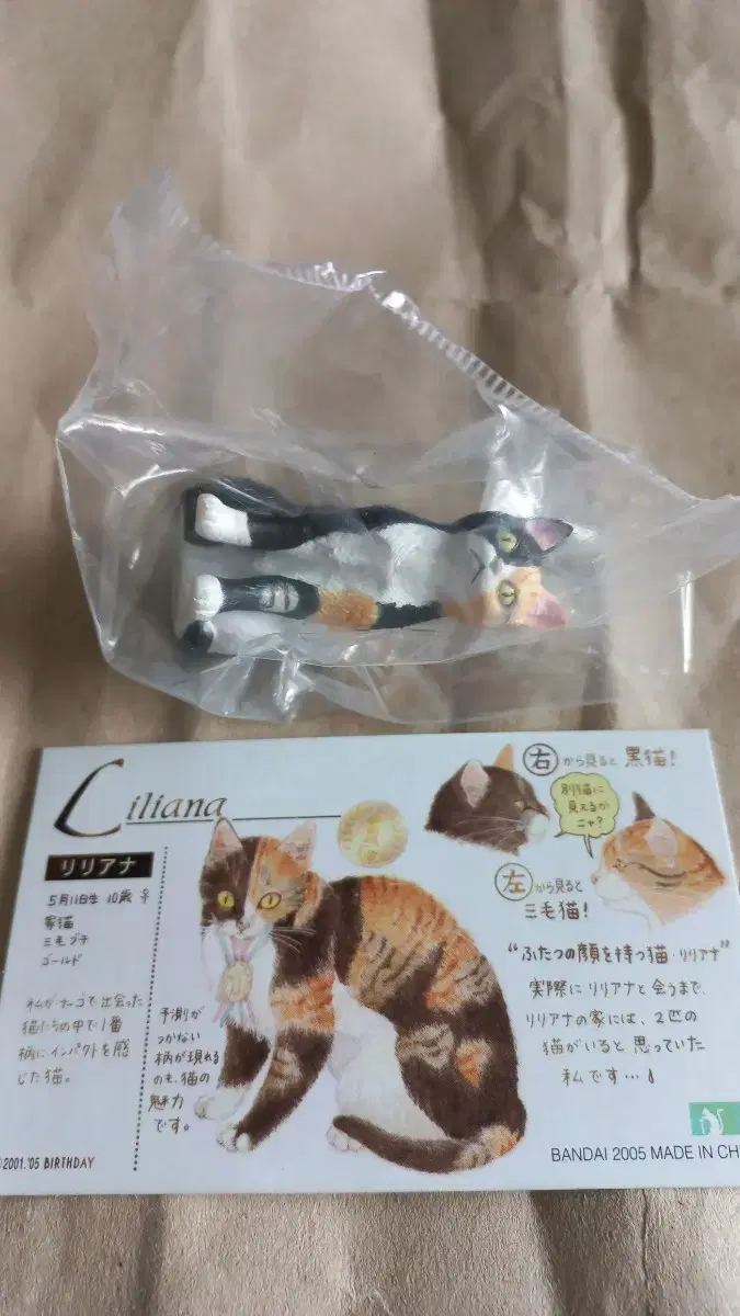 Nago Cat Liliana Figures