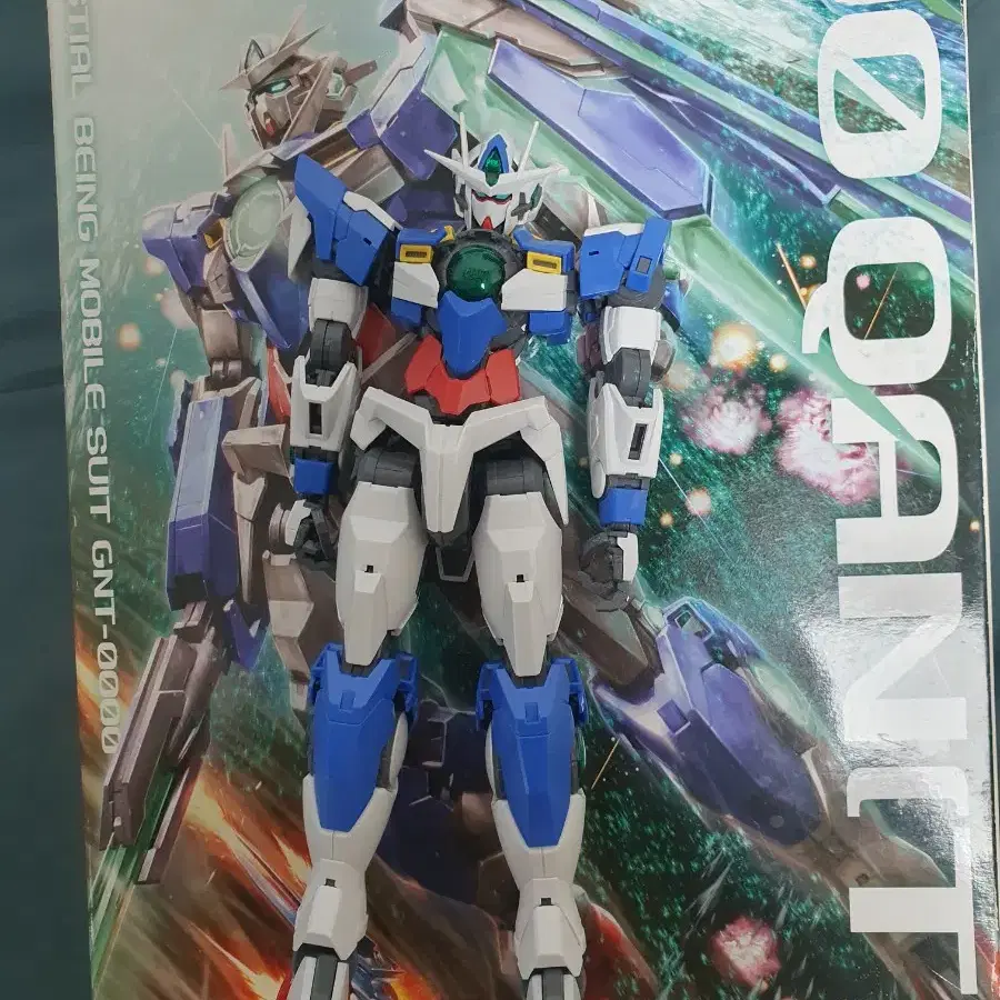 MG 1/100 퀀터건담 부분미조립