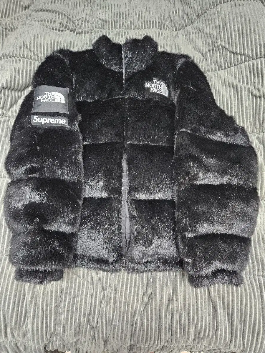 Supreme The North Face Nopsi Padding