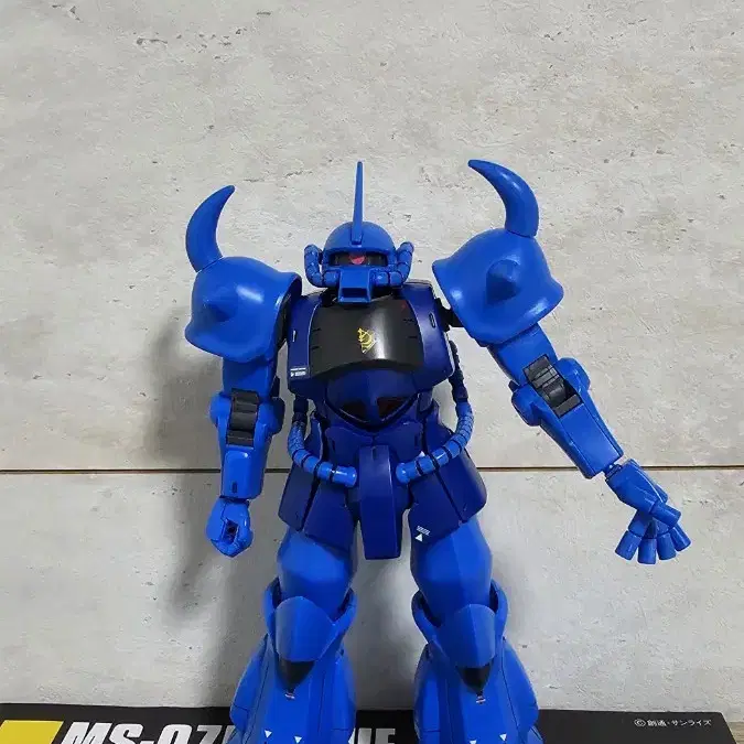 HG MS-07B 구프 순수조립품