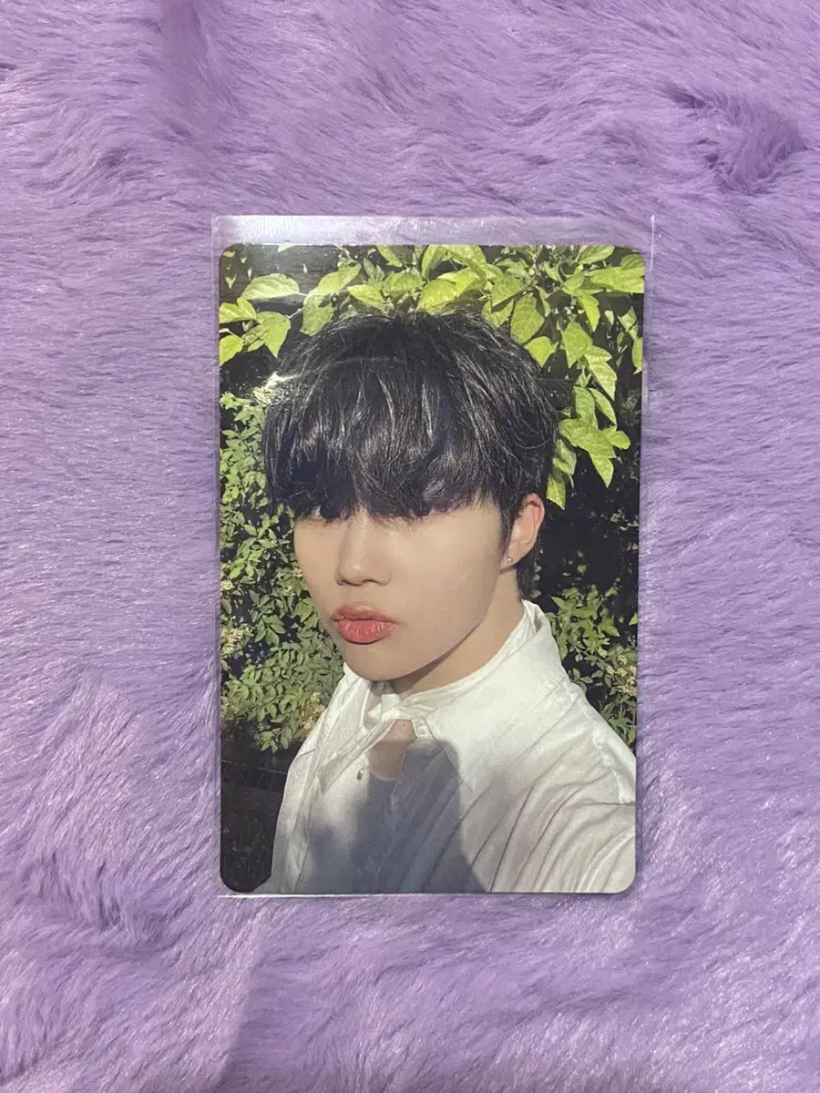 Park Gunwook tower record Tare unreleased photocard 1집 Youth in the Shade