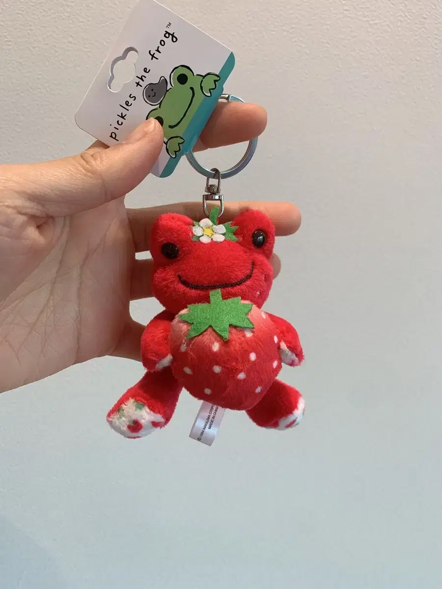 Pickles the Frog Strawberry Frog Doll Keyring New