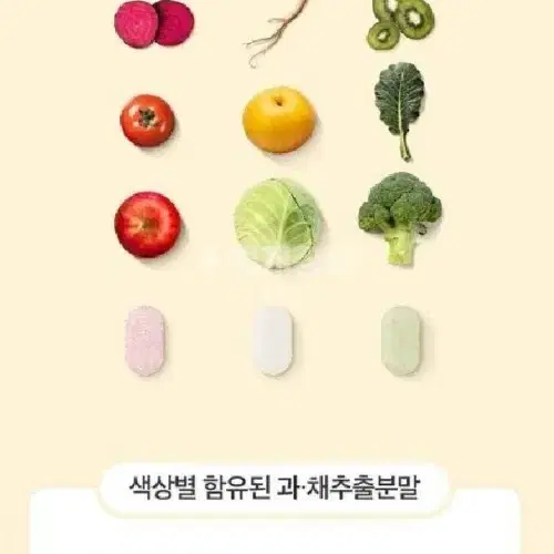 비타솔 월간채움 과채츄어블