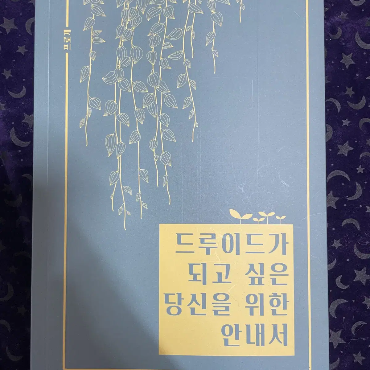 꿈보다 해몽 /드루이드가 되고 싶은 당신을 위한 안내서