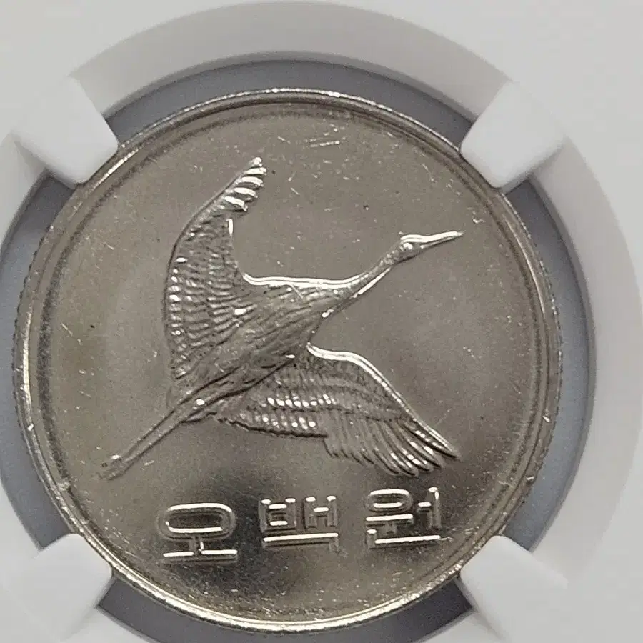 1999년 500원 NGC MS65등급