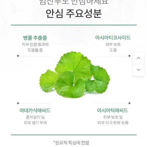 저자극 집중 진정 세럼 (라루셀 민감성 임산부 화장품)