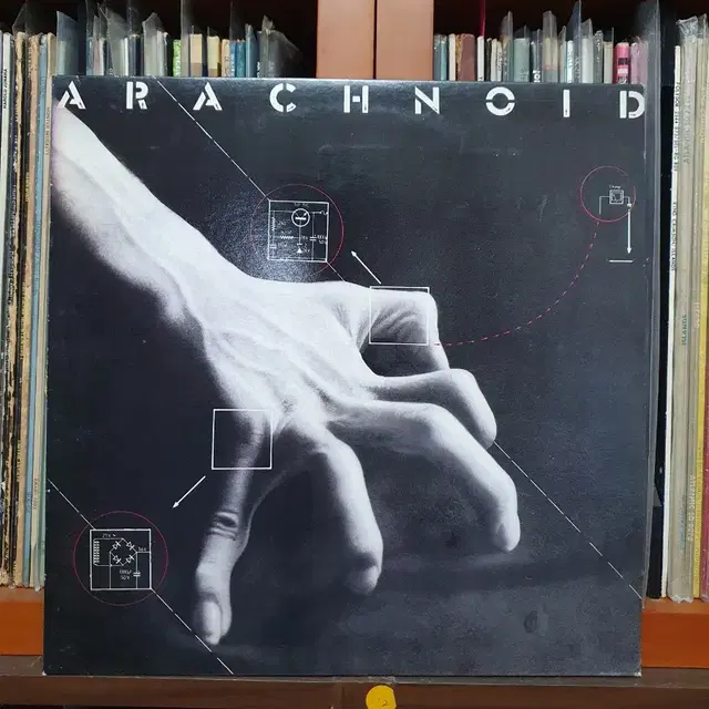 (소장 LP) Arachnoid 시완레코드