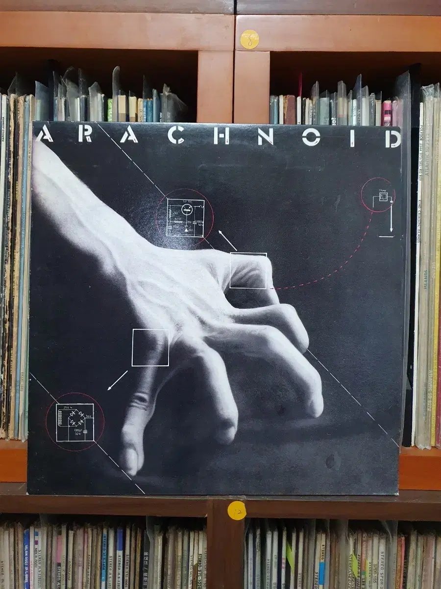 (소장 LP) Arachnoid 시완레코드