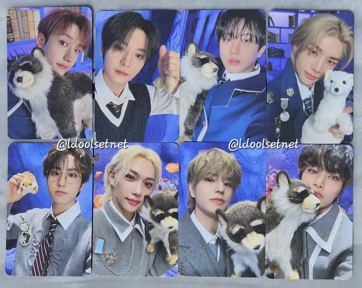 straykids skz fanmeeting day3 photocard photocard wts