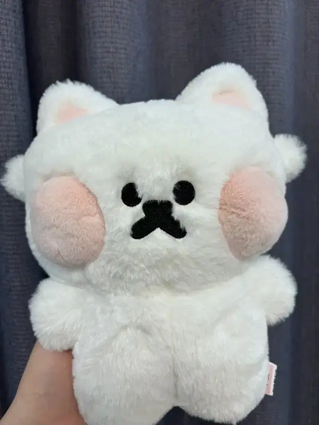 뽀양이 인형