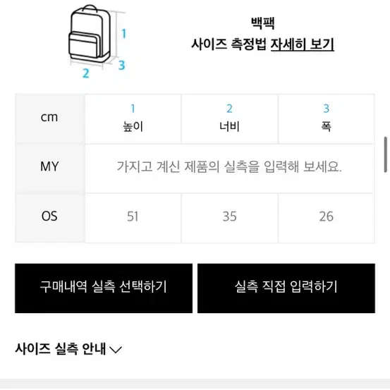 디스이즈네버댓 백팩