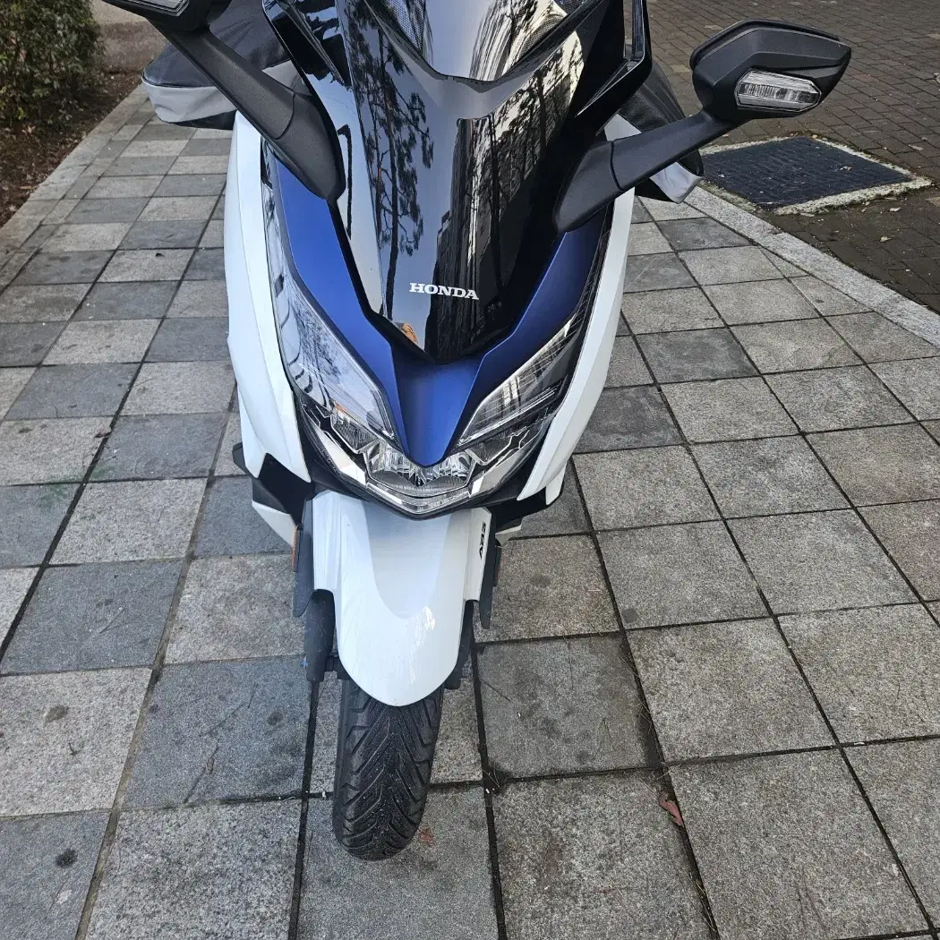 포르자 Honda Forza 300