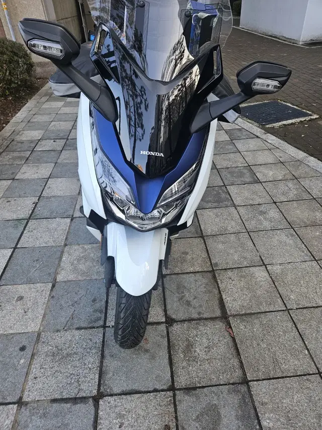 포르자 Honda Forza 300