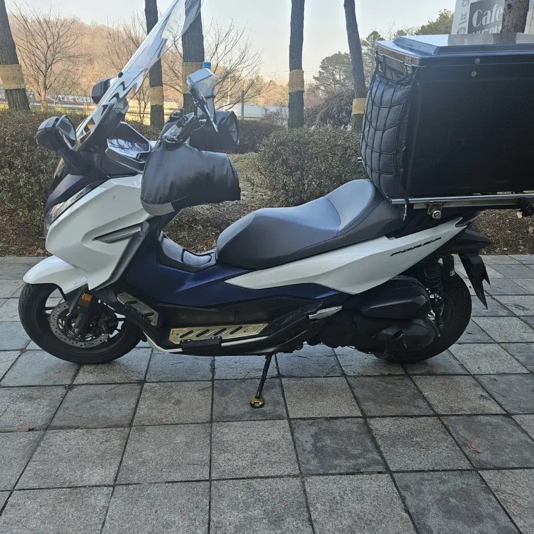 포르자 Honda Forza 300