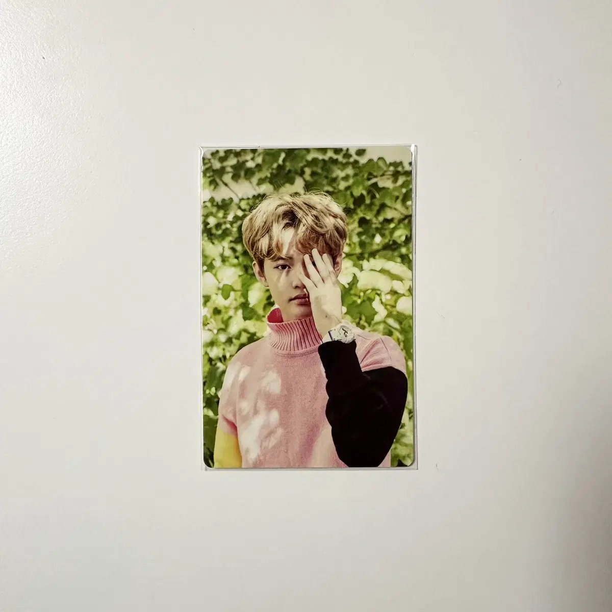 2017 nct Dream season's greetings seasons greetings chenle Photocard