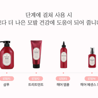 텐제로 헤어 프로텍팅 샴푸 극손상모용 500 ml