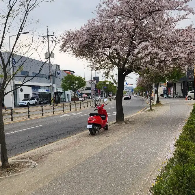 베스파 스프린트 팔아요 [단연 최저가] 업체사절