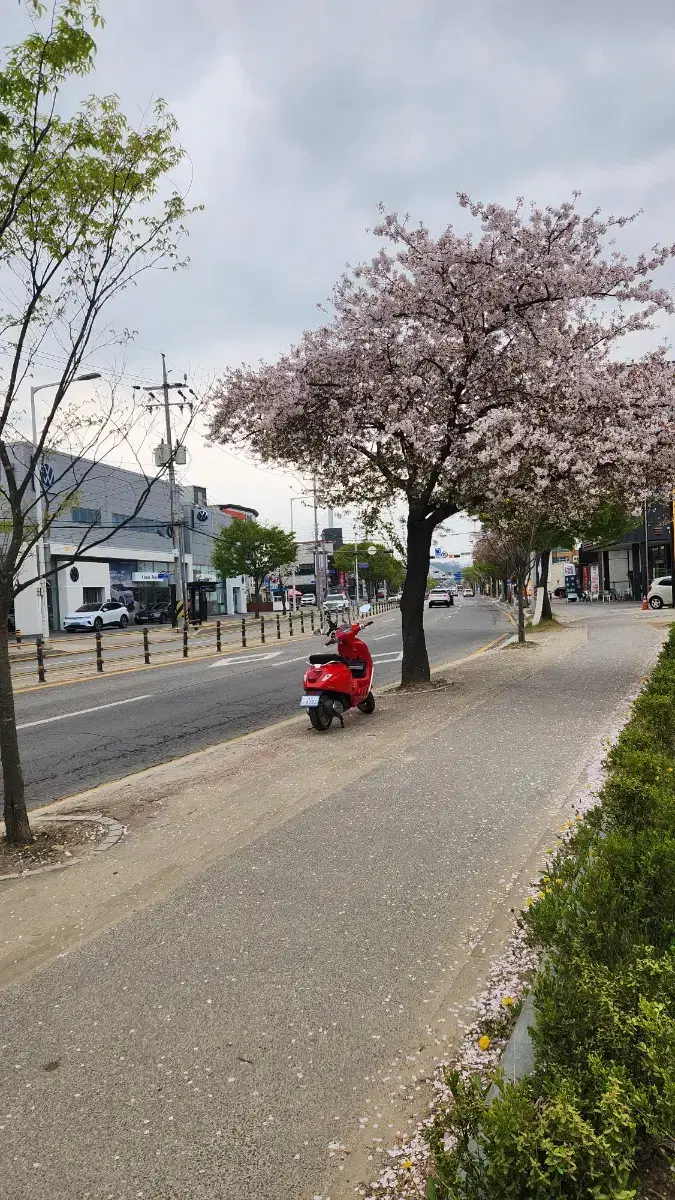 베스파 스프린트 팔아요 [단연 최저가] 업체사절