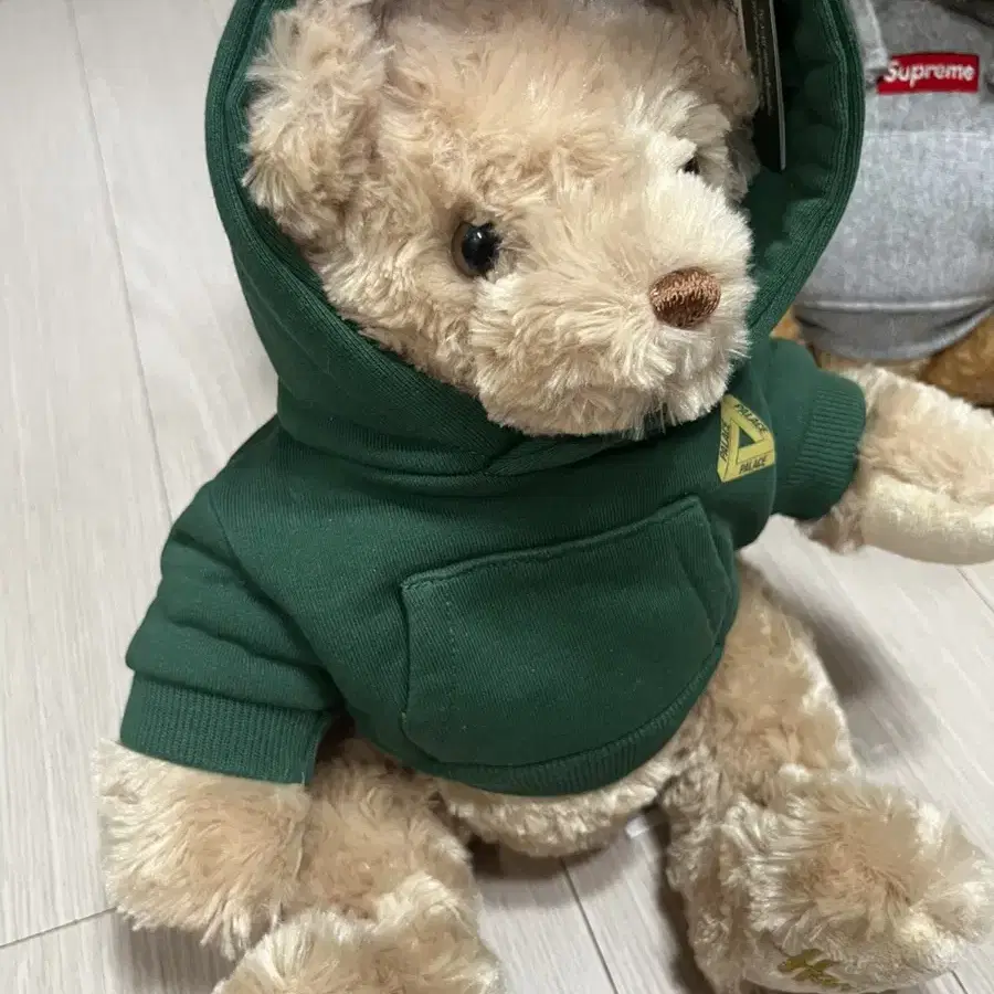 팔라스 x Harrods Bear Greean 테디베어