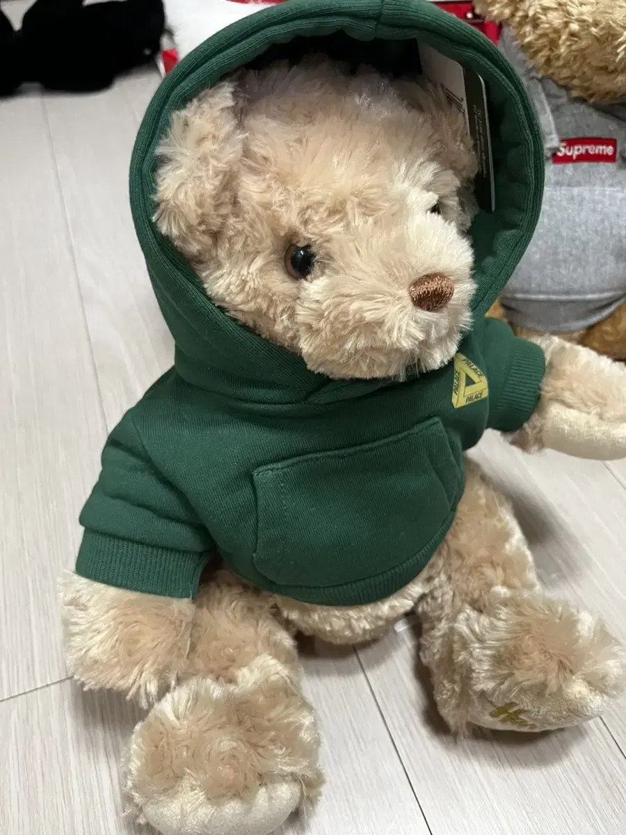 팔라스 x Harrods Bear Greean 테디베어