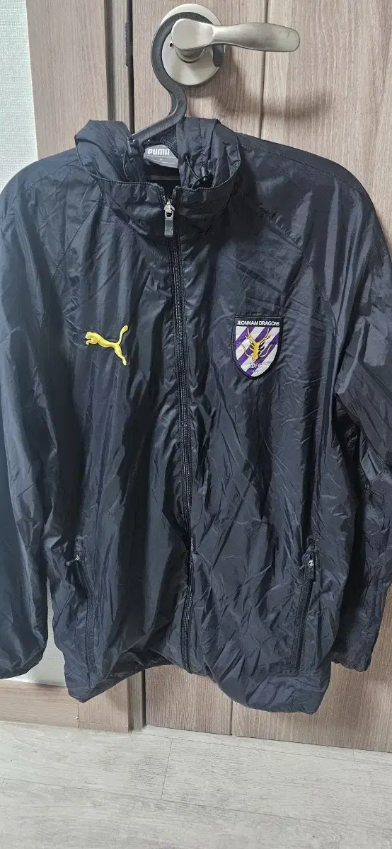 Jeonnam Dragons Hooded Zip Up (M)