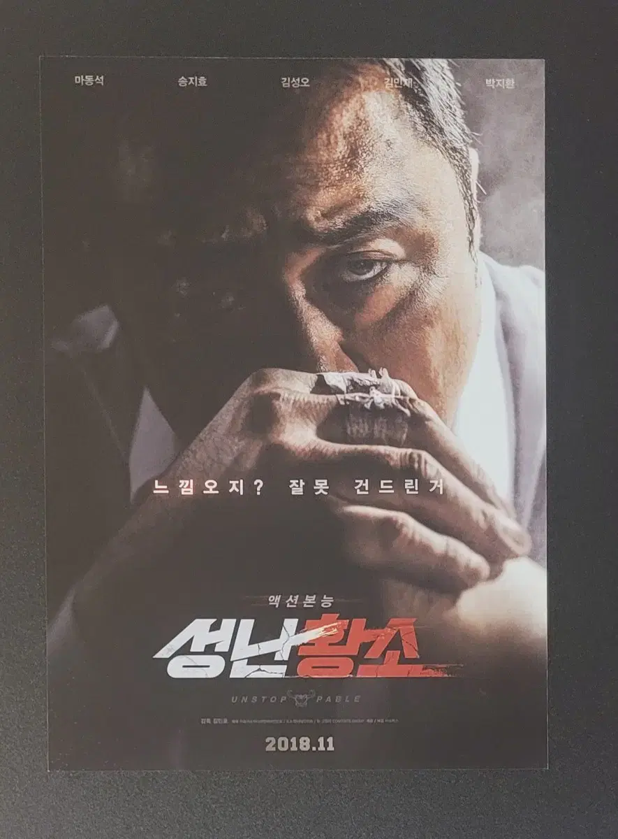 [영화팜플렛] 성난황소 전단지 (2018) 마동석 송지효 김성오 김민재