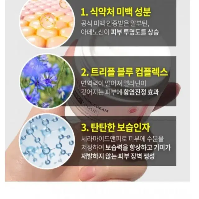 기미크림 묵은기미표백 전문가용 기미전문크림 색소침착감소 피부재생 잡티제거