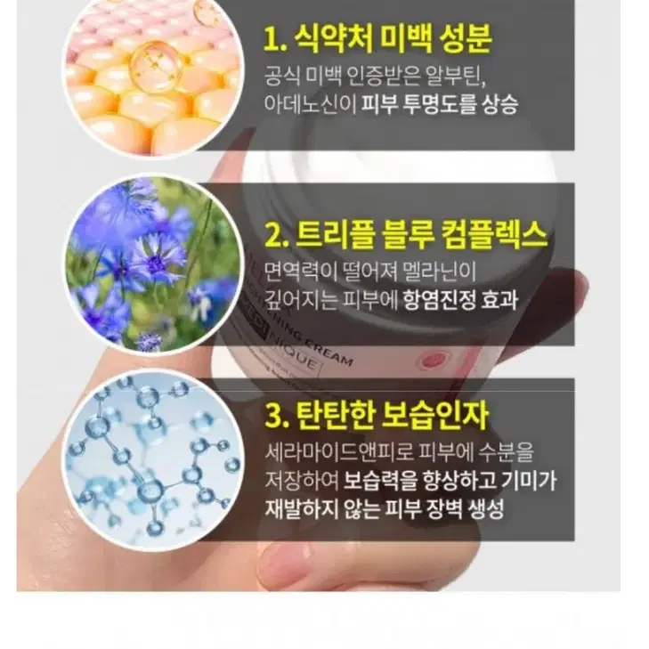 기미크림 묵은기미표백 전문가용 기미전문크림 색소침착감소 피부재생 잡티제거