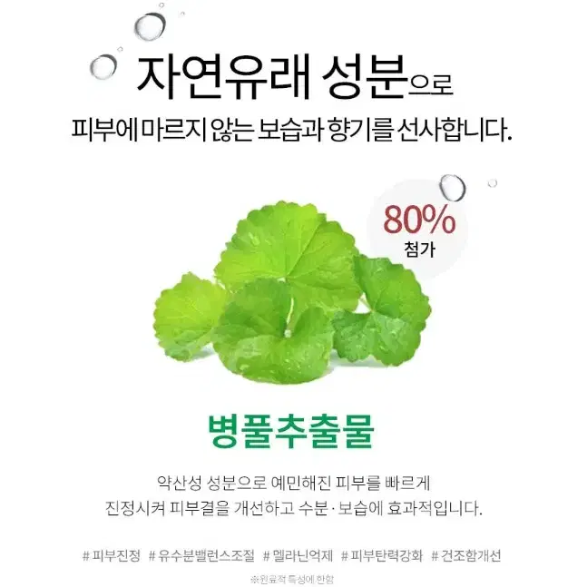 더퓨 오드 퍼퓸 랩핑 워터 비테라 코코넬 100ml 오렌지향 레몬 그린티