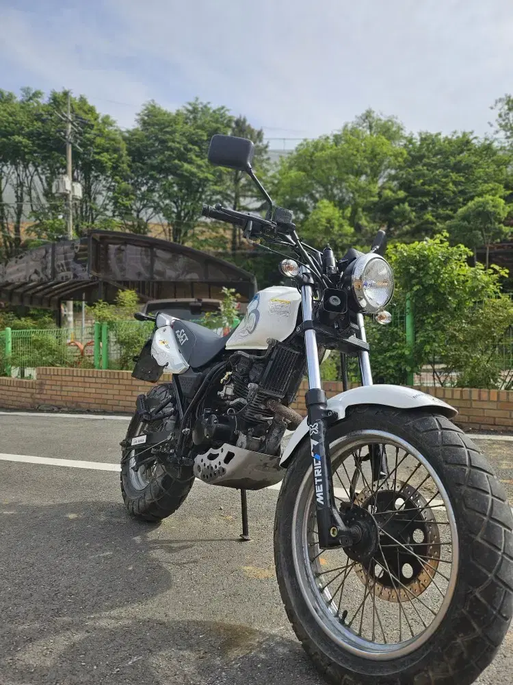 트로이125