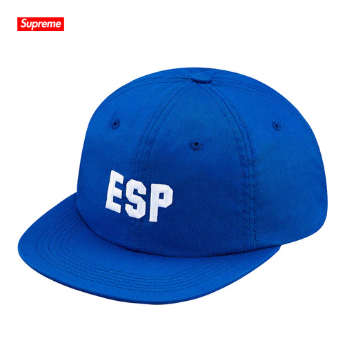 슈프림 ESP 6 패널 | Supreme ESP 6-Panel