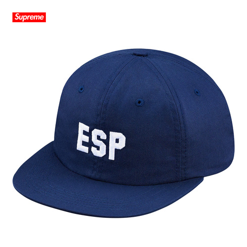 슈프림 ESP 6 패널 | Supreme ESP 6-Panel