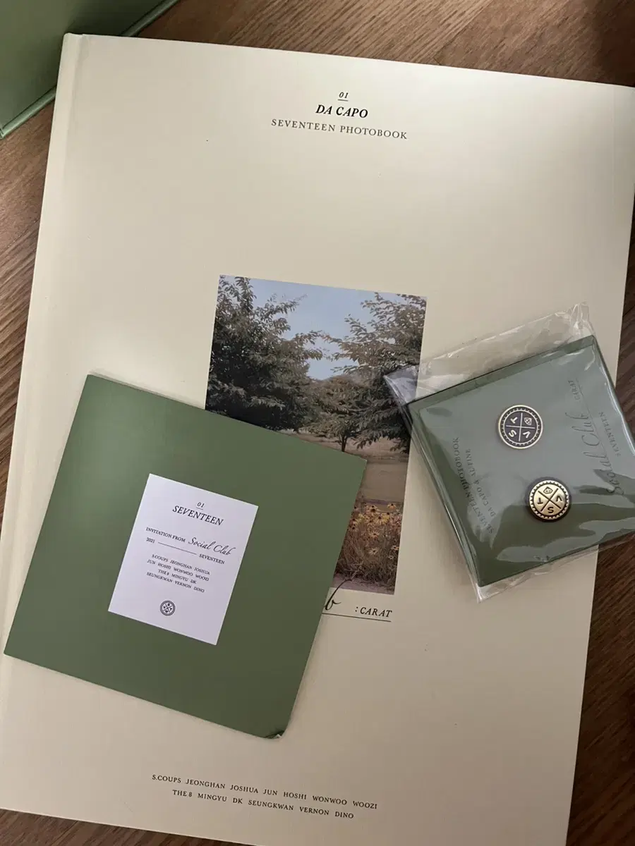 Seventeen Social Club Takapo Alpine photobook Badge CD