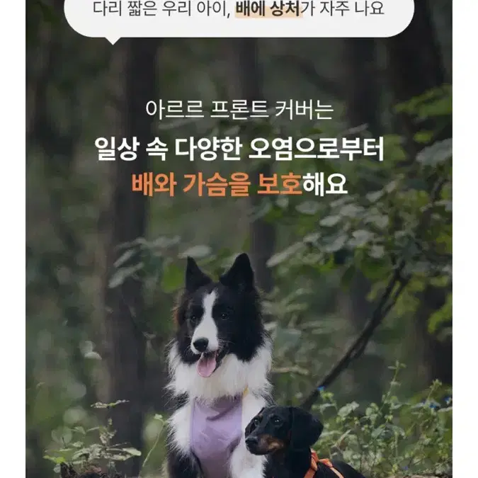 강아지 우비 바람막이 아르르 올웨더코트