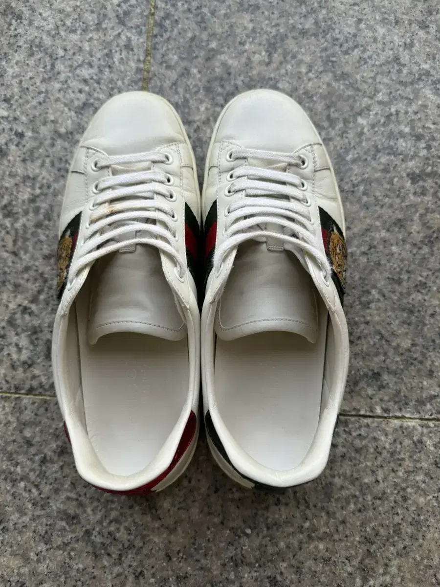 Gucci sneakers (tiger)