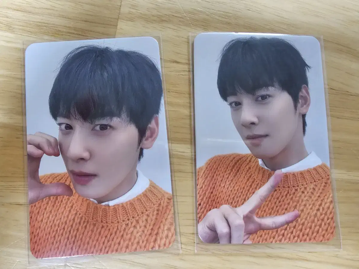 Cha Eunwoo ENTITY Unreleased Photocard