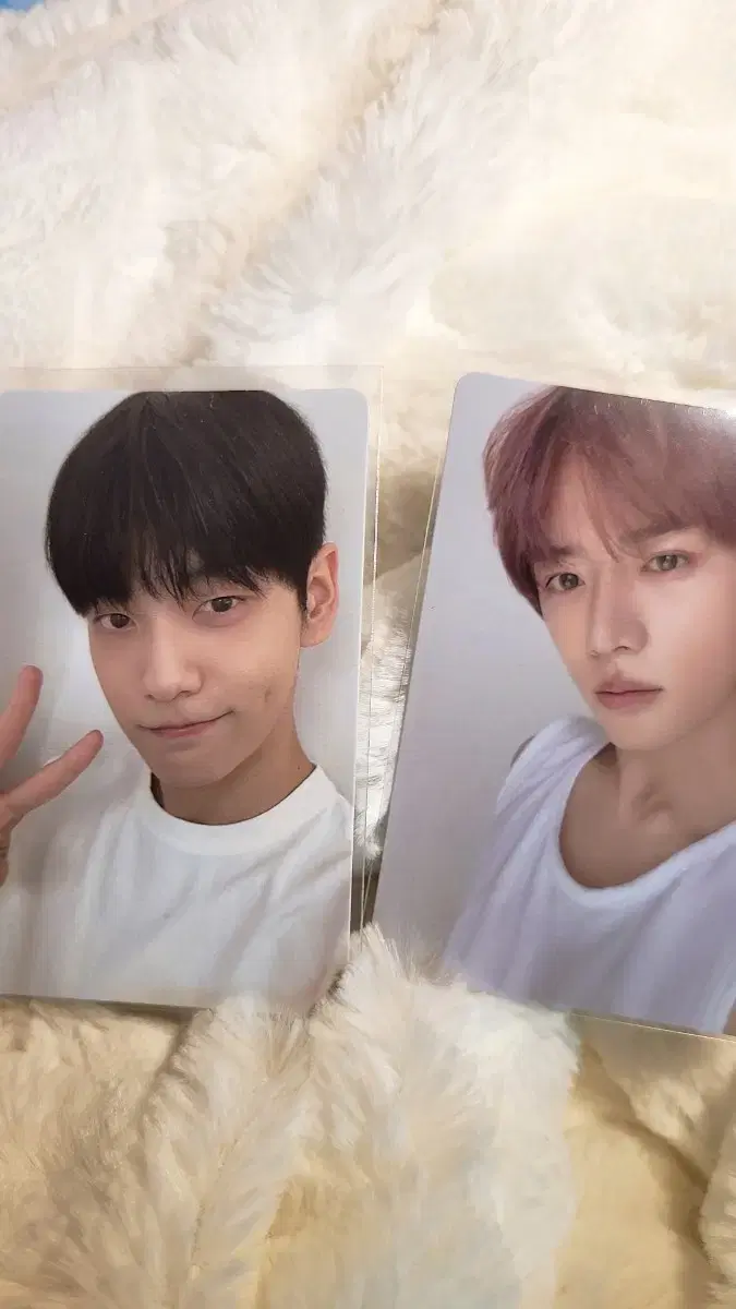 jibijibibisoobin,divibibeomgyuphotocard