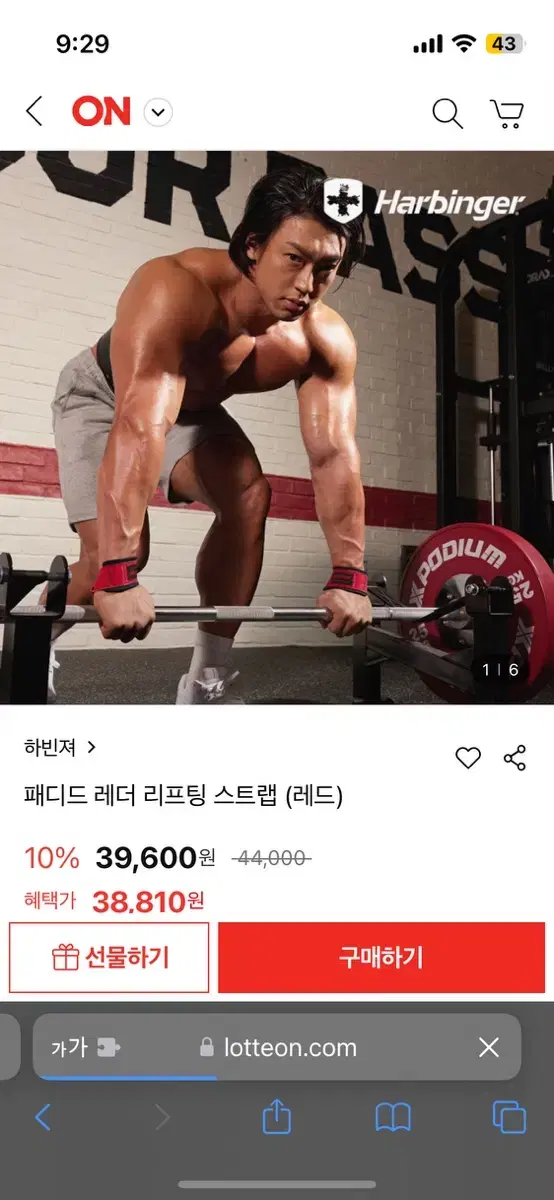 하빈져 패디드 레더