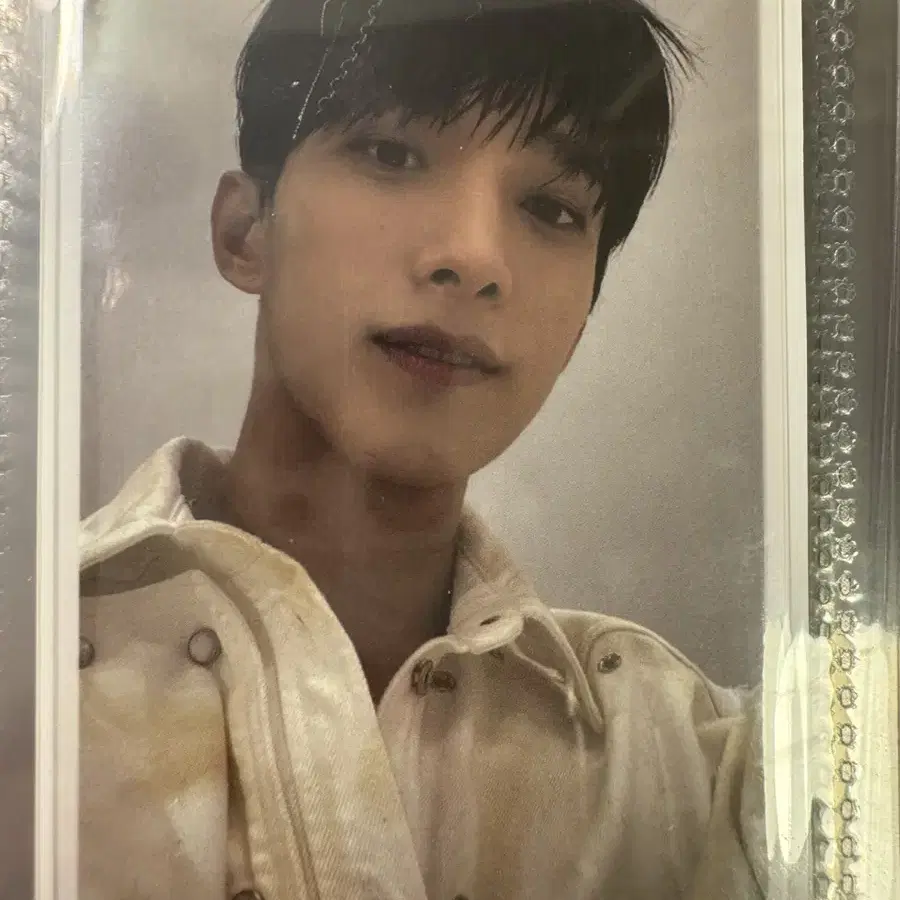 세븐틴 도겸 포카6 일괄