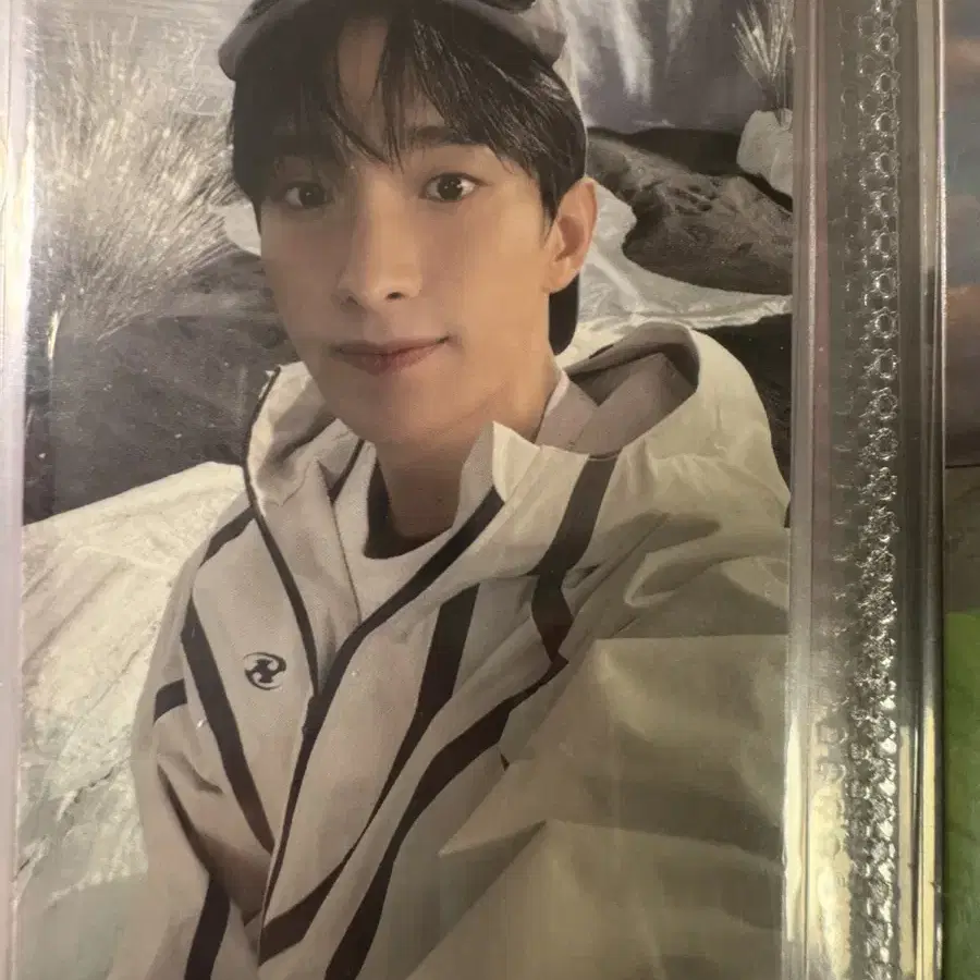 세븐틴 도겸 포카6 일괄