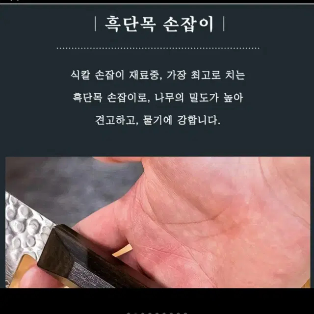 사카이지코 스지히끼 사시미 칼